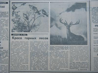 Прикрепленное изображение: IMG_2905.JPG